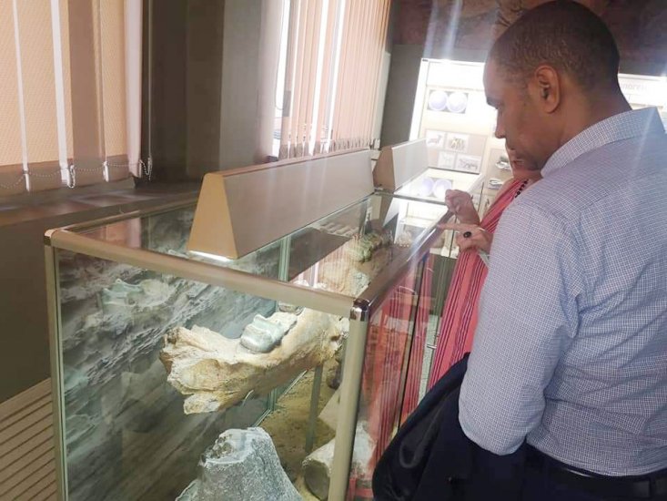 FB_IMG_1610231903447