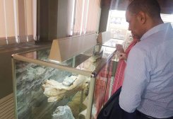 FB_IMG_1610231903447