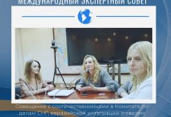 Международный экспертный совет РРОД "Синергия талантов" и соотечественники провели круглый стол в Комитете Государственной Думы