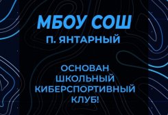 В МБОУ СОШ поселка Янтарный основан первый киберспортивный клуб среди областных школ!
