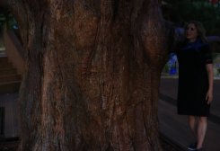 img_11